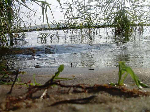 underfoot