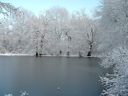 Winterwelt (2005)